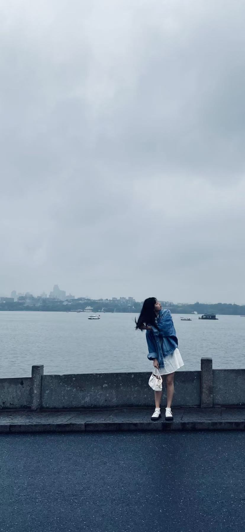 雷峰塔剪影