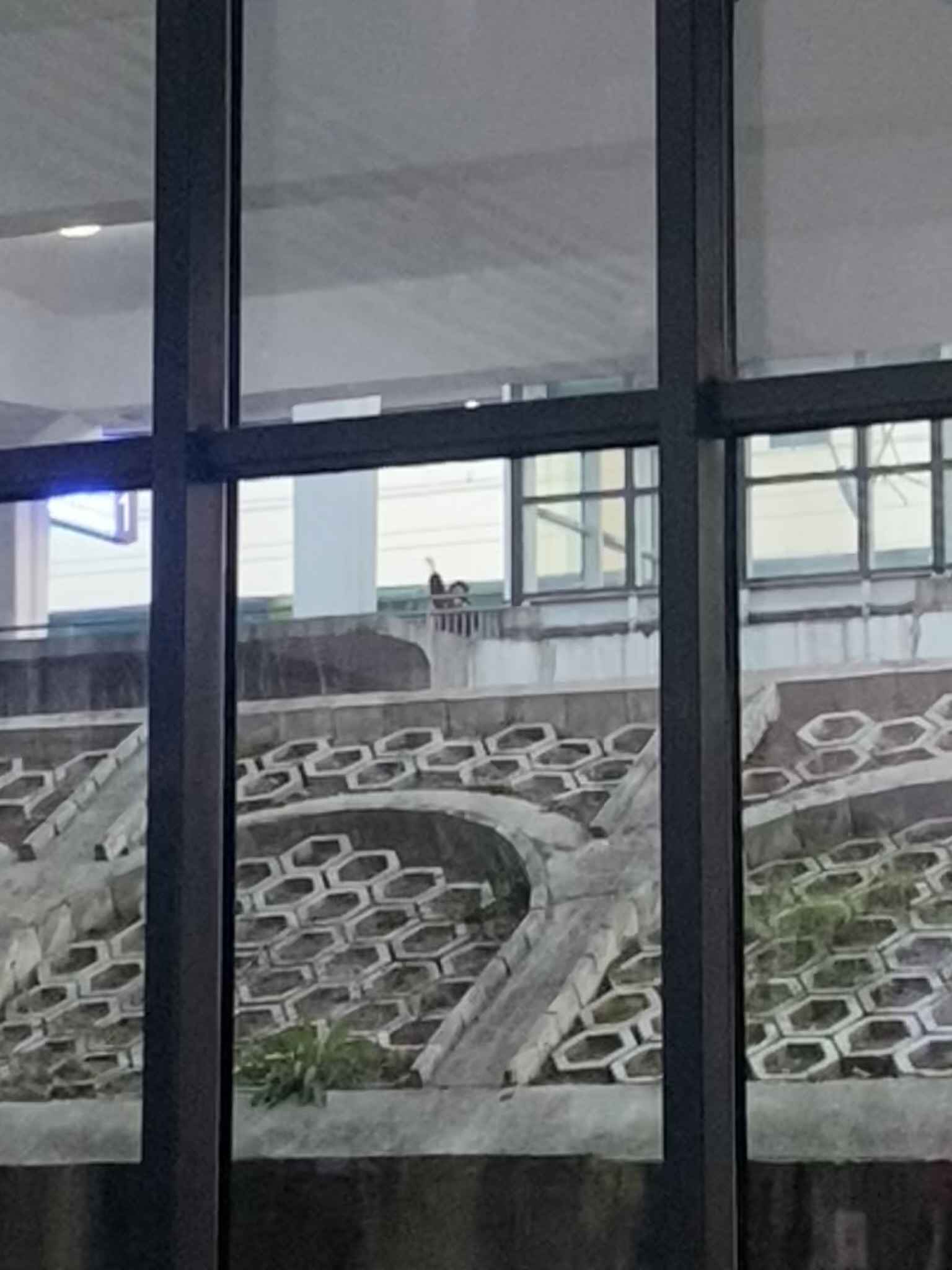 挥手告别