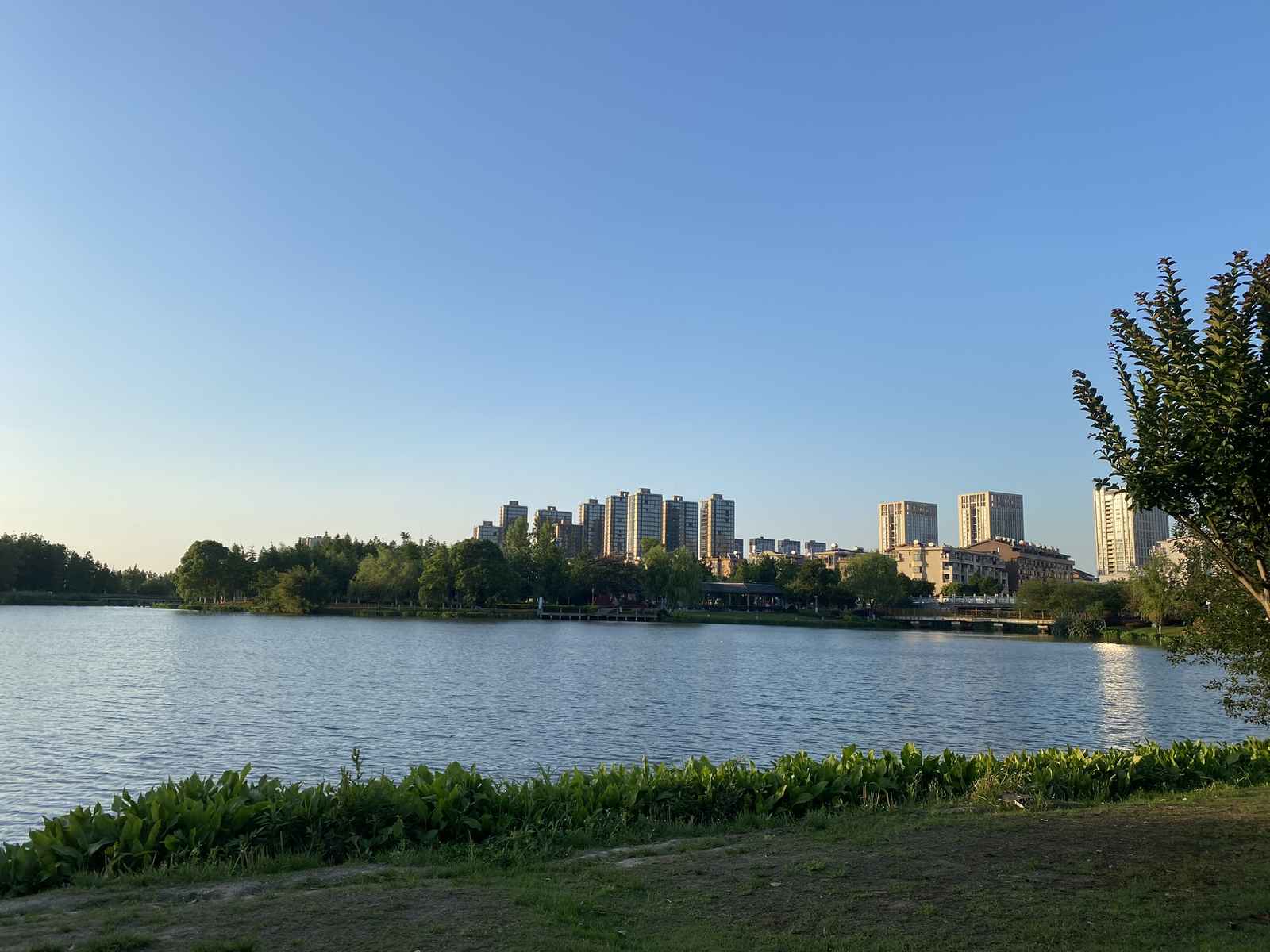 湿地公园闲聊
